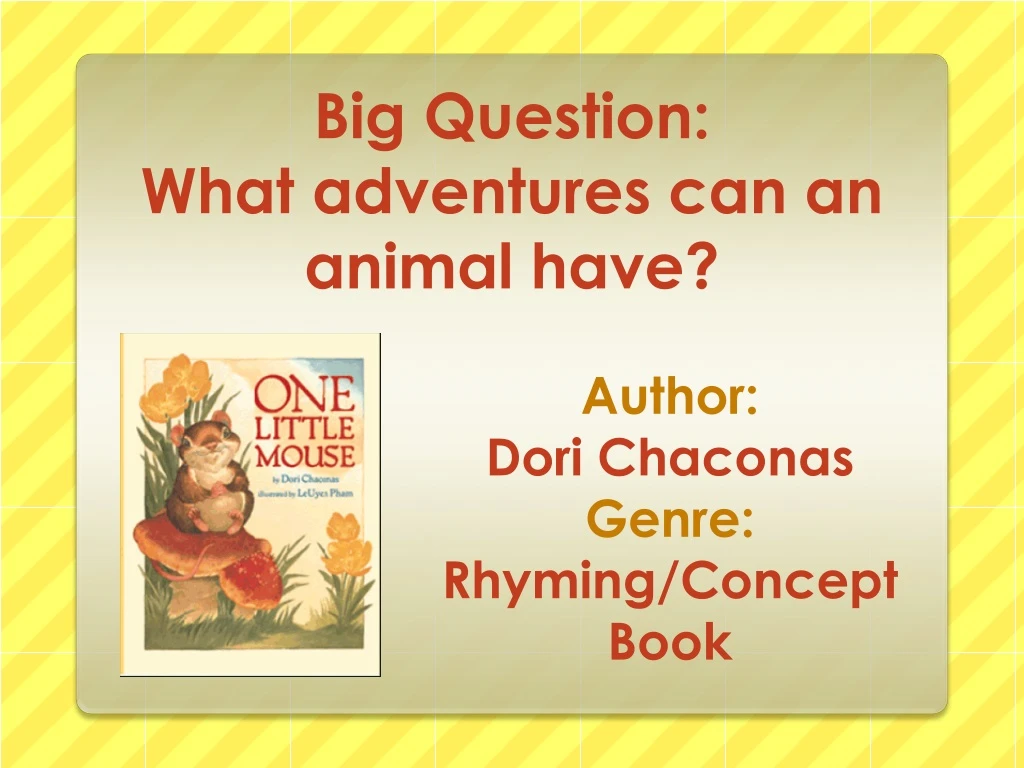 big question what adventures can an animal have