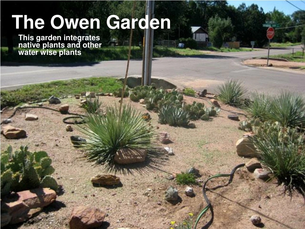 the owen garden