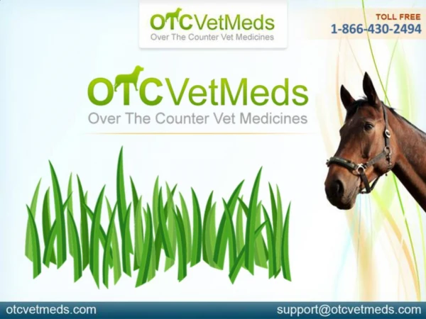 Need of Joint health supplements for Horses