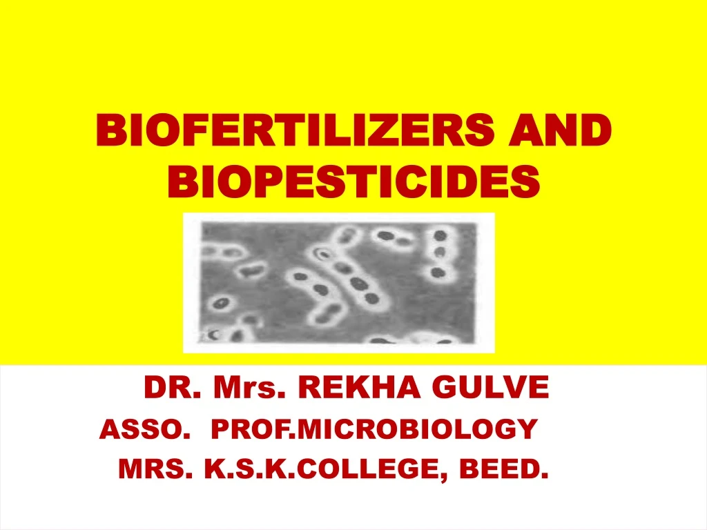 biofertilizers and biopesticides