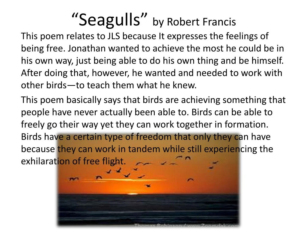 seagulls by robert francis