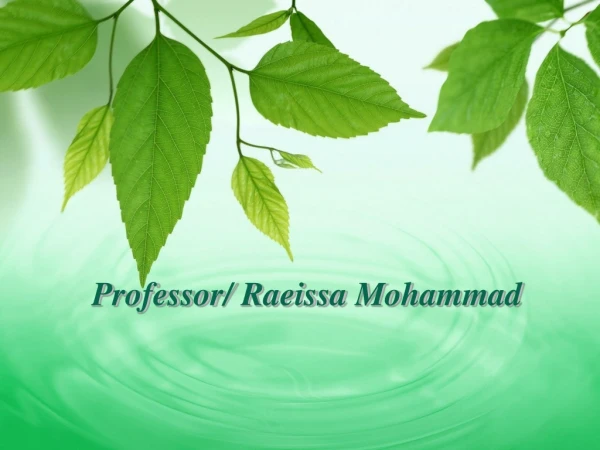 Professor/ Raeissa Mohammad