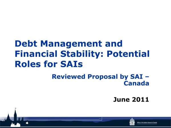 Debt Management and Financial Stability: Potential Roles for SAIs