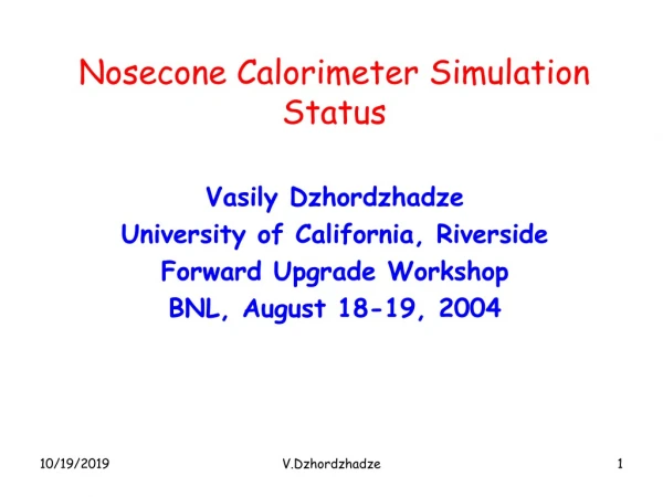 Nosecone Calorimeter Simulation Status