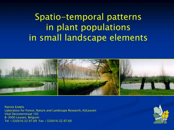 Spatio-temporal patterns in plant populations in small landscape elements