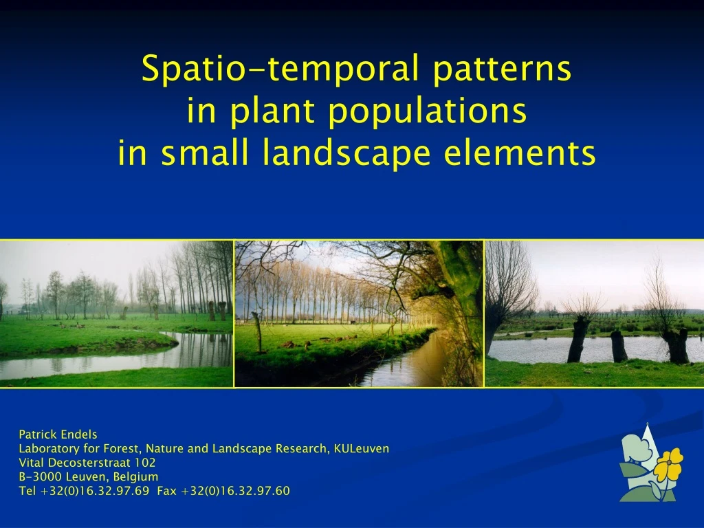 spatio temporal patterns in plant populations