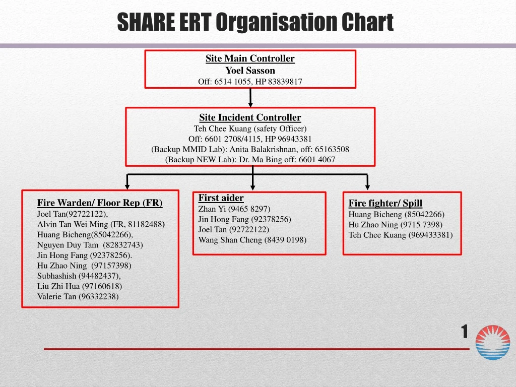 share ert organisation chart
