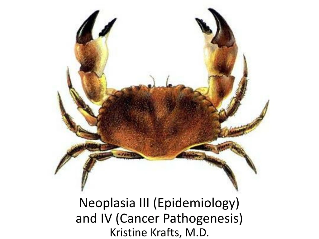 neoplasia iii epidemiology and iv cancer