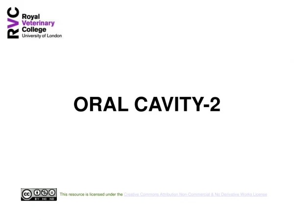 ORAL CAVITY-2