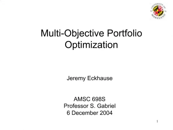Multi-Objective Portfolio Optimization