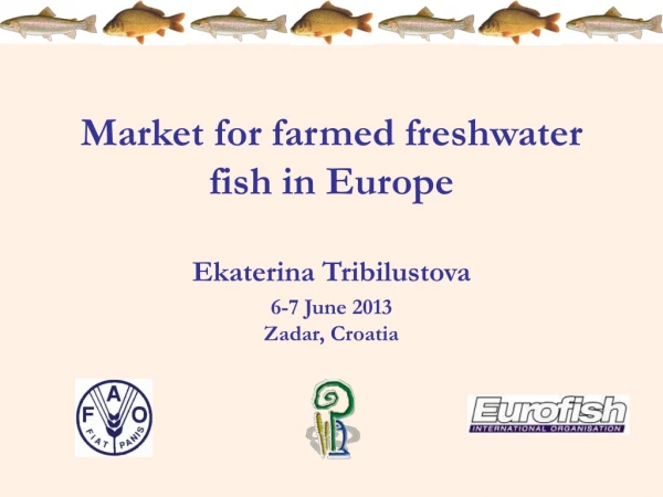 Market for farmed freshwater fish in Europe Ekaterina Tribilustova