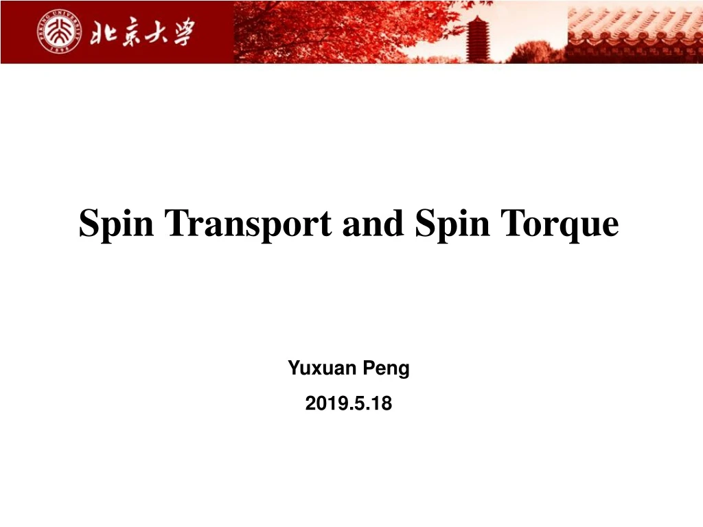 spin transport and spin torque