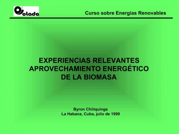 EXPERIENCIAS RELEVANTES APROVECHAMIENTO ENERG TICO DE LA BIOMASA