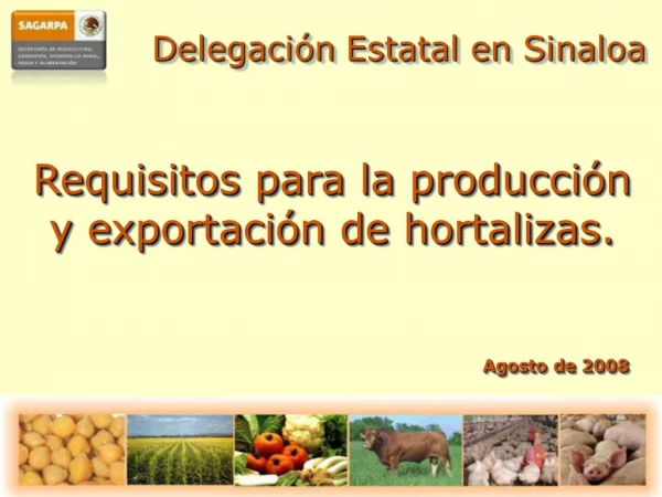 Requisitos para la producci n y exportaci n de hortalizas.