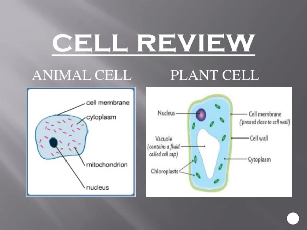 cell review