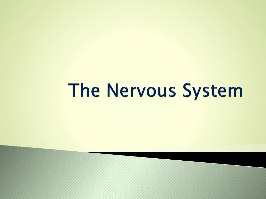 the nervous system