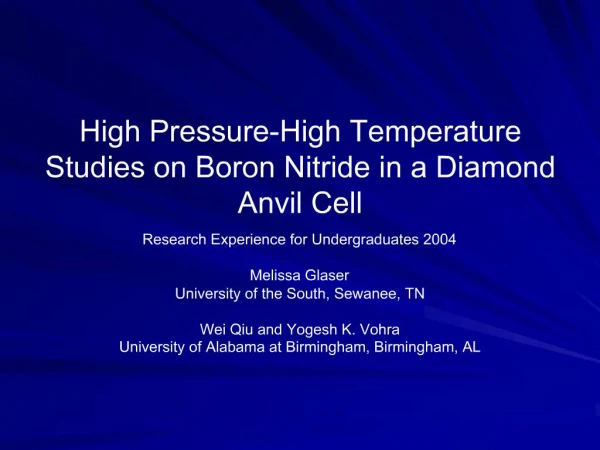 High Pressure-High Temperature Studies on Boron Nitride in a Diamond Anvil Cell