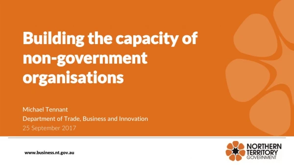 Building the capacity of non-government organisations