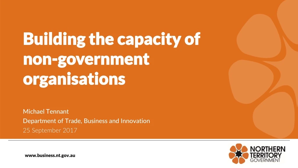 building the capacity of non government organisations
