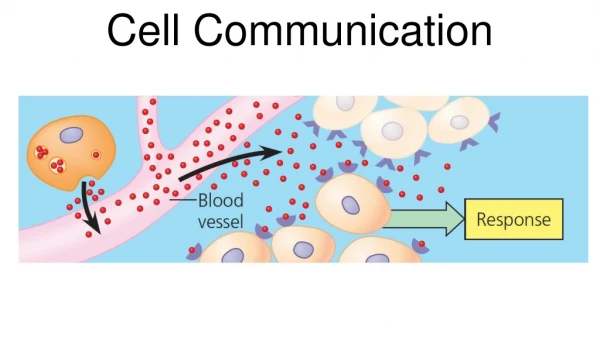 Cell Communication