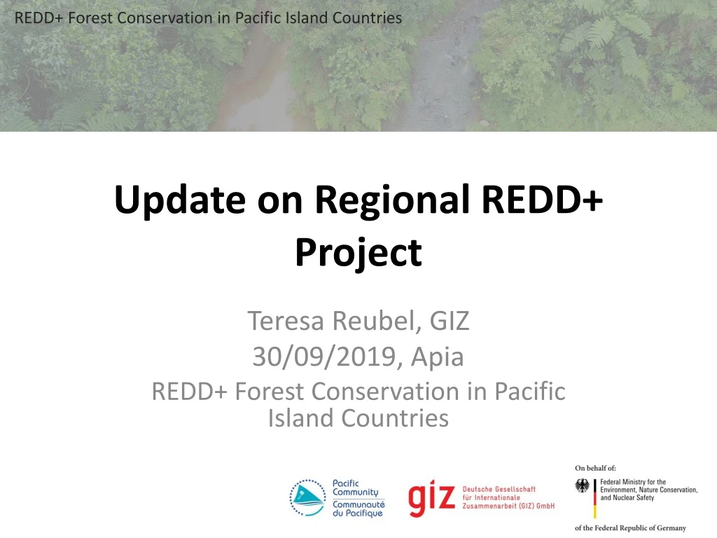 update on regional redd project