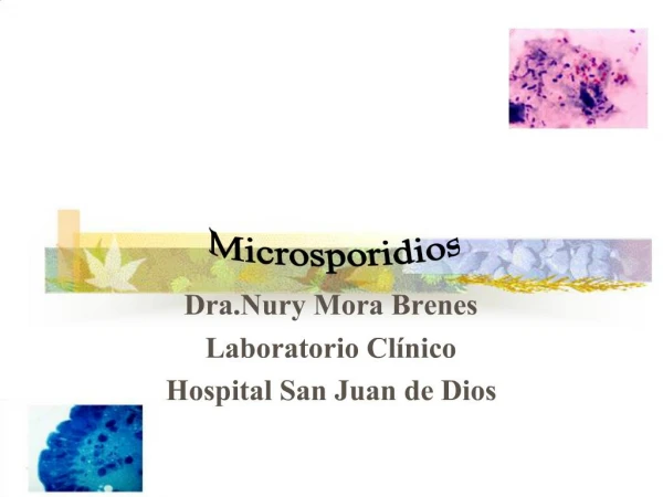 Dra.Nury Mora Brenes Laboratorio Cl nico Hospital San Juan de Dios