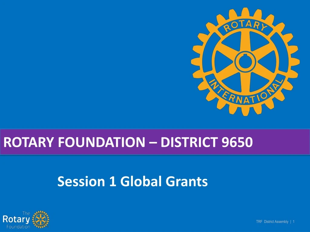 rotary foundation district 9650