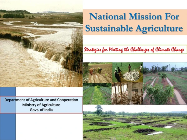 National Mission For Sustainable Agriculture