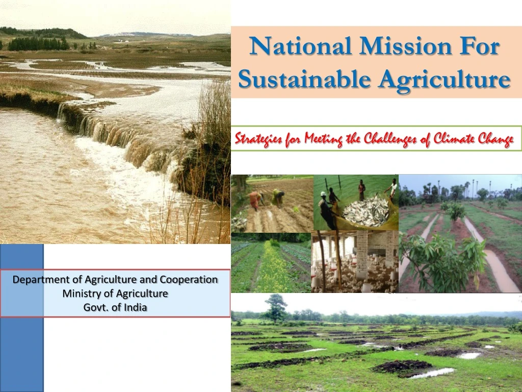 national mission for sustainable agriculture