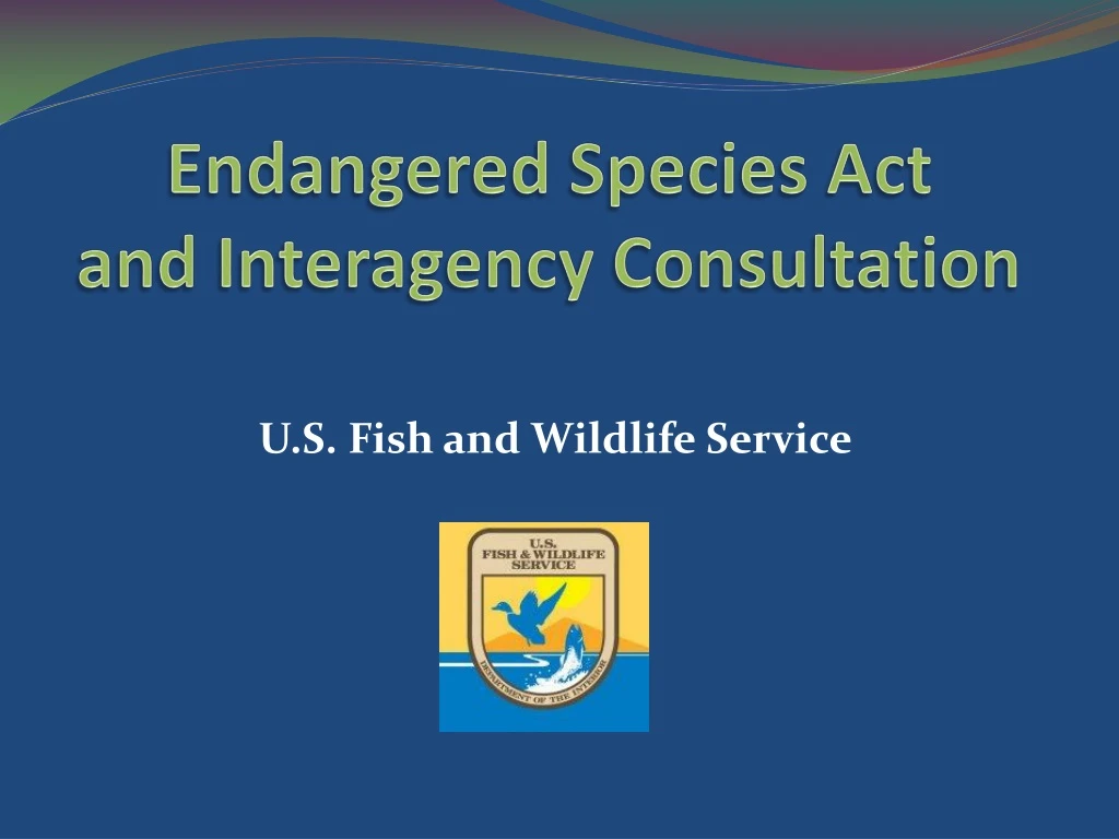 endangered species act and interagency consultation