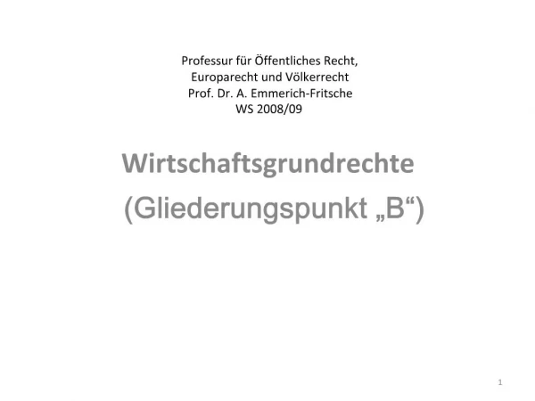 Professur f r ffentliches Recht, Europarecht und V lkerrecht Prof. Dr. A. Emmerich-Fritsche WS 2008