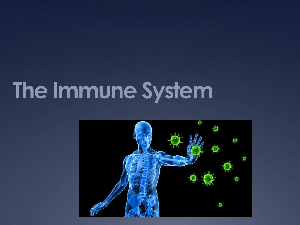 the immune system