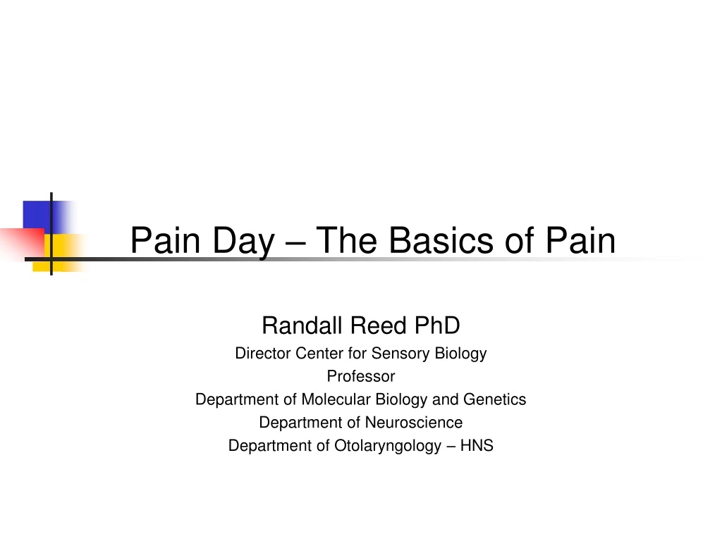 pain day the basics of pain
