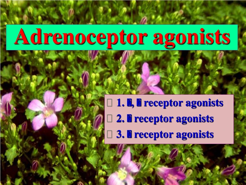 adrenoceptor agonists