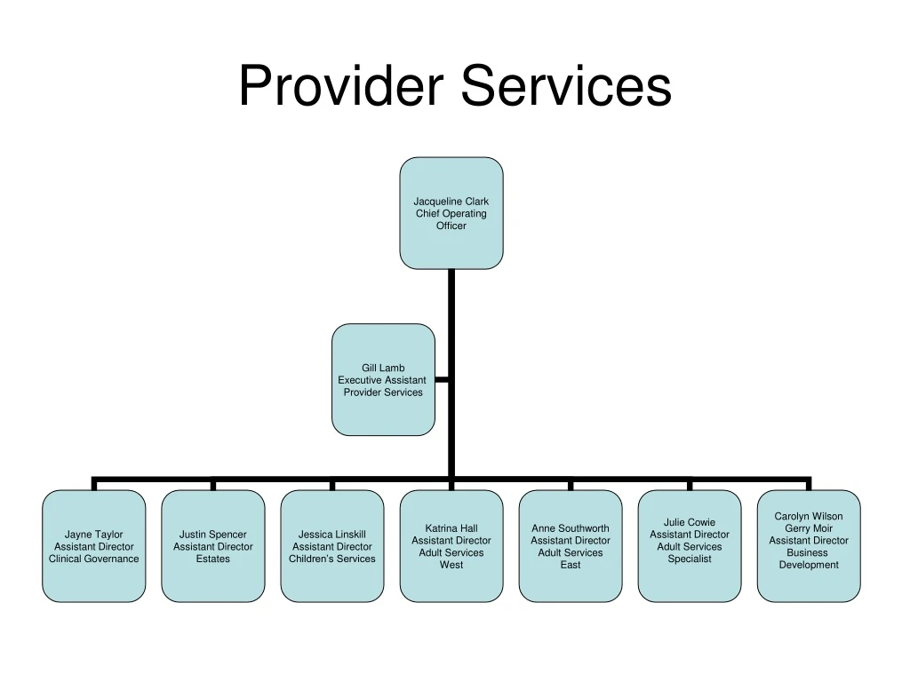 provider services