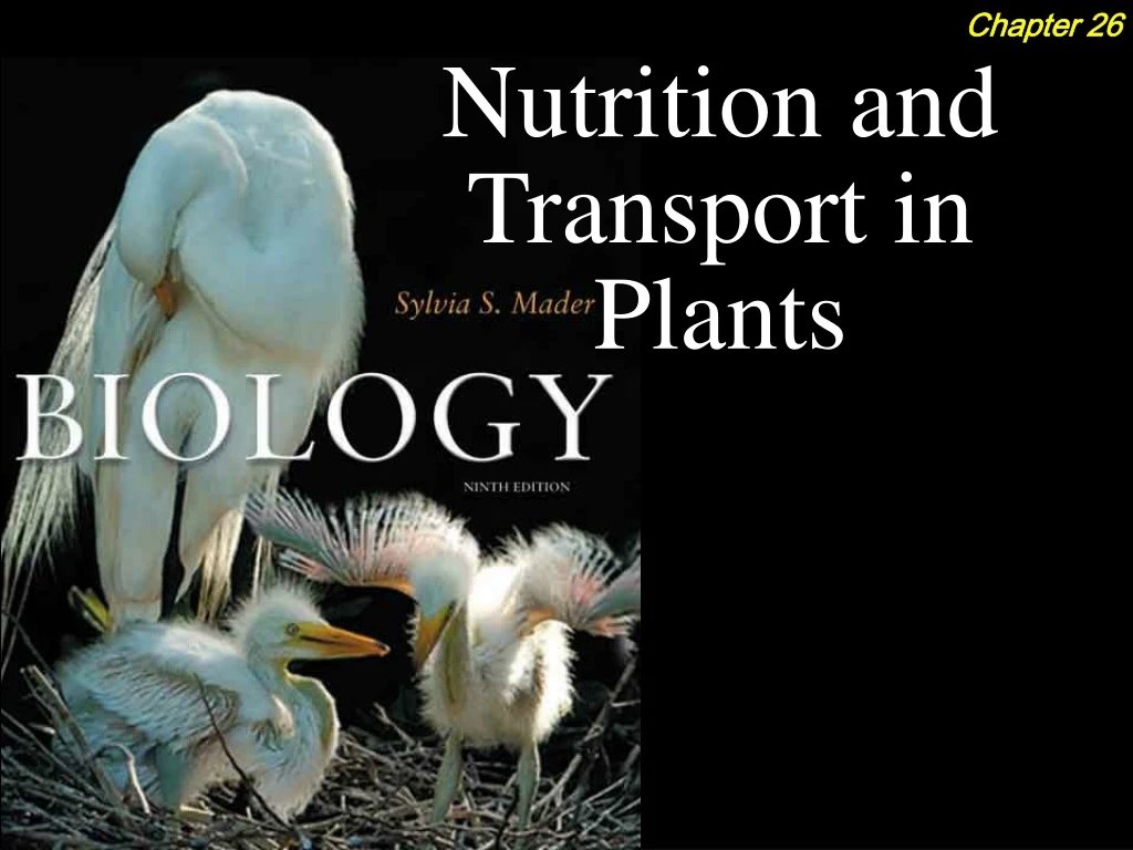 nutrition and transport in plants