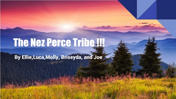 The Nez Perce Tribe !!!