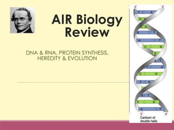 AIR Biology Review