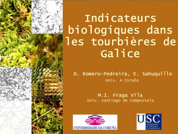Indicateurs biologiques dans les tourbi res de Galice D. Romero-Pedreira, E. Sahuquillo Univ. A Coru a M.I. Fraga