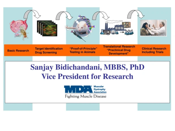 Sanjay Bidichandani, MBBS, PhD Vice President for Research