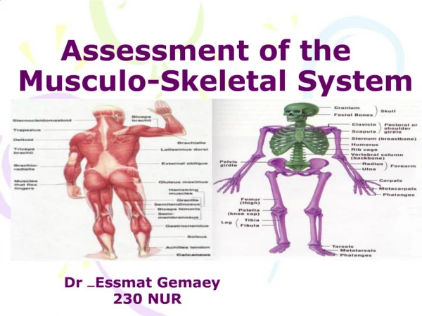Assessment of the Musculo-Skeletal System