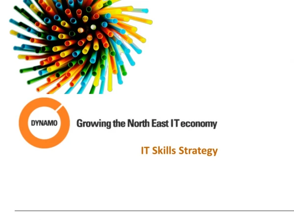 IT Skills Strategy