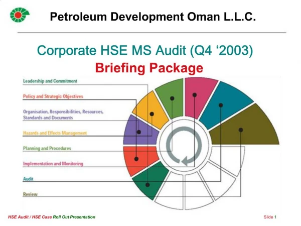 Corporate HSE MS Audit Q4 2003 Briefing Package