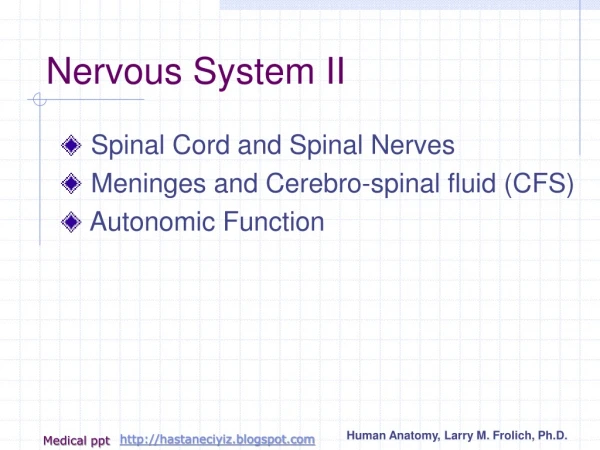 Nervous System II