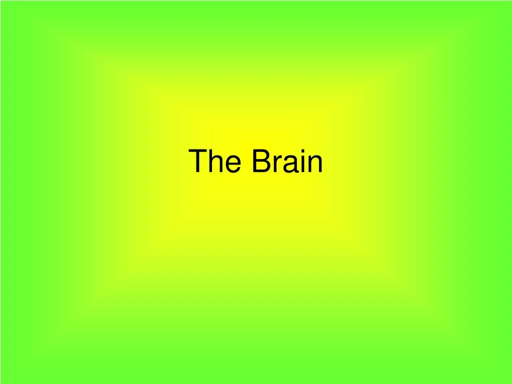 the brain