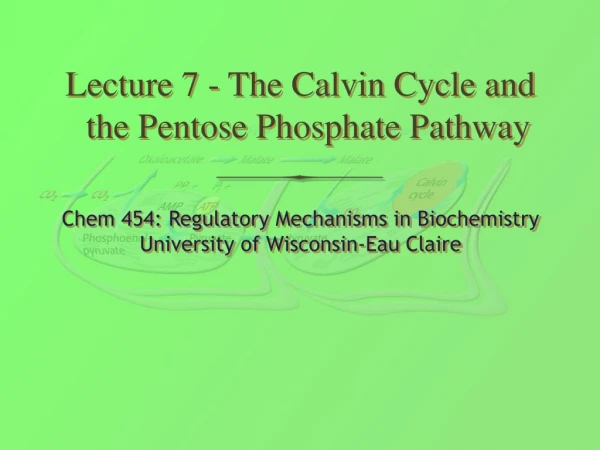 Lecture 7 - The Calvin Cycle and the Pentose Phosphate Pathway