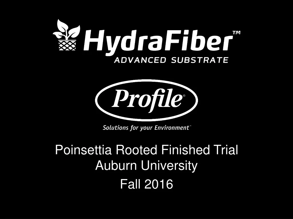 poinsettia rooted finished trial auburn university fall 2016