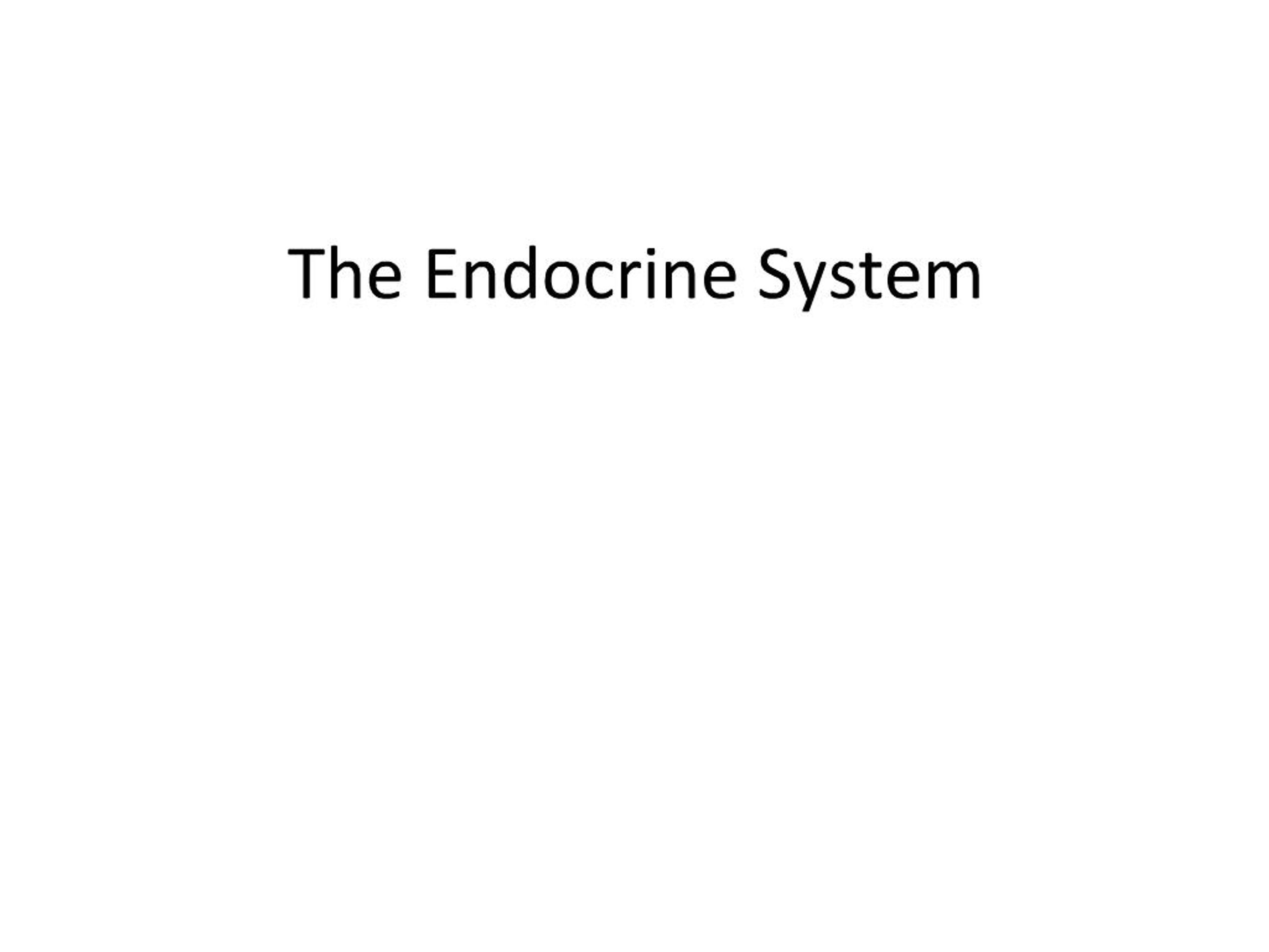 PPT - The Endocrine System PowerPoint Presentation, free download - ID ...