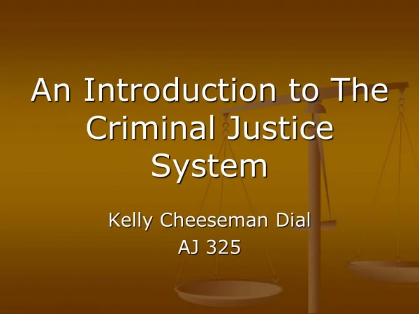 An Introduction to The Criminal Justice System