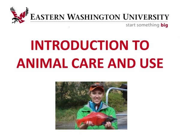 INTRODUCTION TO ANIMAL CARE AND USE